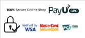 PayU Visa Mastercard