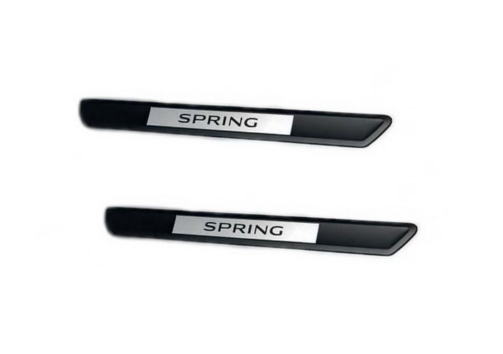 Dacia Spring - Protectie praguri fata (Dacia Original)