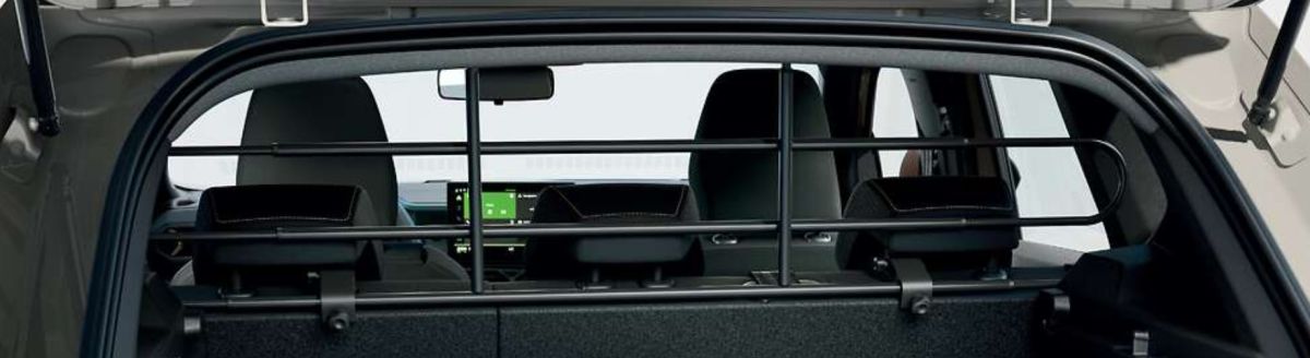 Bigster (2025-) - Grila de separare habitaclu (Dacia Original)