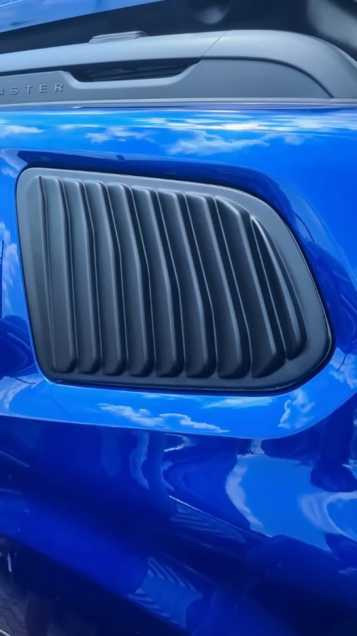 Duster II (2018-2024) - Protectie geam lateral spate