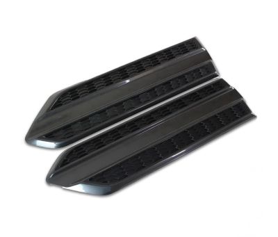 Duster I 2010-2017) - Set ornamente portiere fata