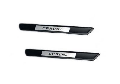 Dacia Spring - Protectie praguri fata (Dacia Original)