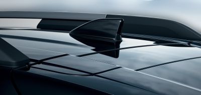 Bigster - Antena tip "coada rechin" (Dacia Original)