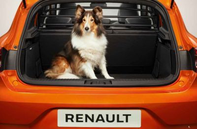 RENAULT Clio V - Separation grille (Renault Original)