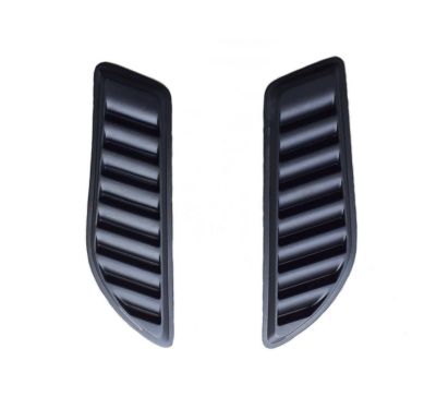 Duster III (2024-2026) - Ornament capota DRAGON